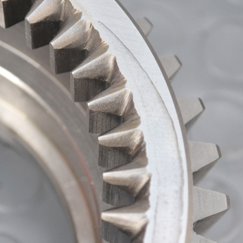 ����ϵ��-�����ڳ�